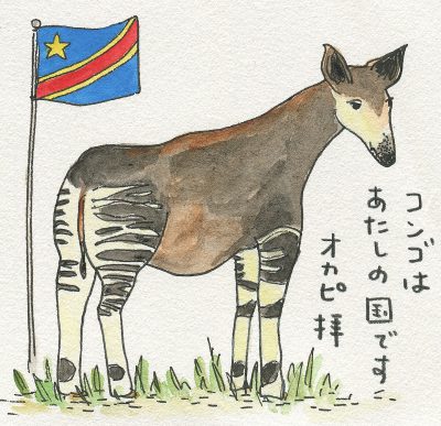 コンゴ